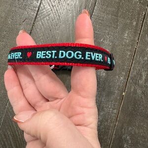 UP COUNTRY NWT Best Dog Ever Dog Collar Size Small
